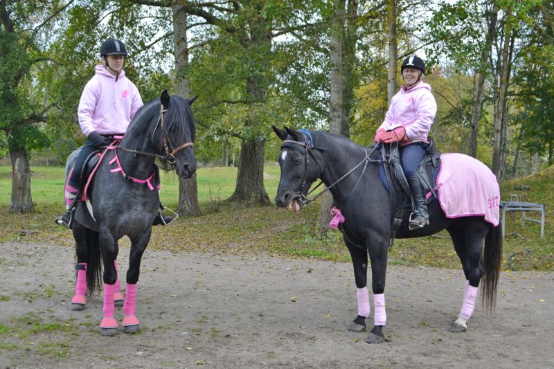 Pink Ride 2015, Pepper & Calinka